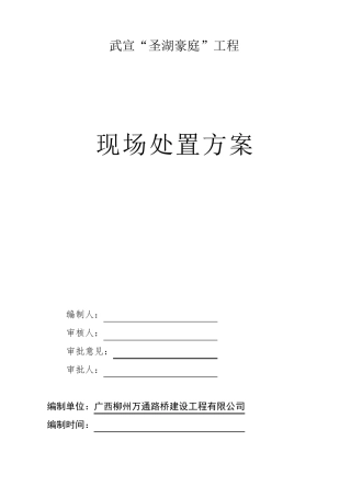 现场处置方案(标准写法)