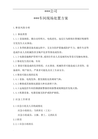 现场处置方案