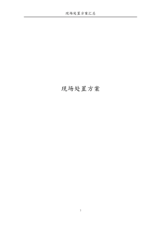 现场处置方案汇总