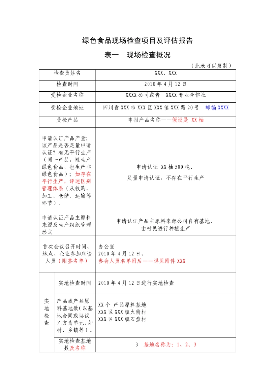 现场检查项目及评估报告(范例)_第1页