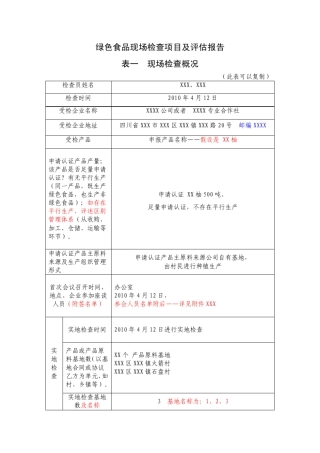 现场检查项目及评估报告(范例)