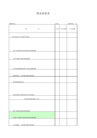 现金流量表(说明)