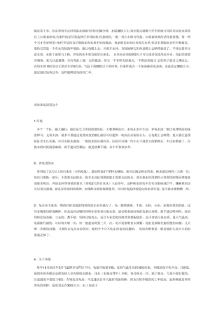 珍珠龟饲养方法