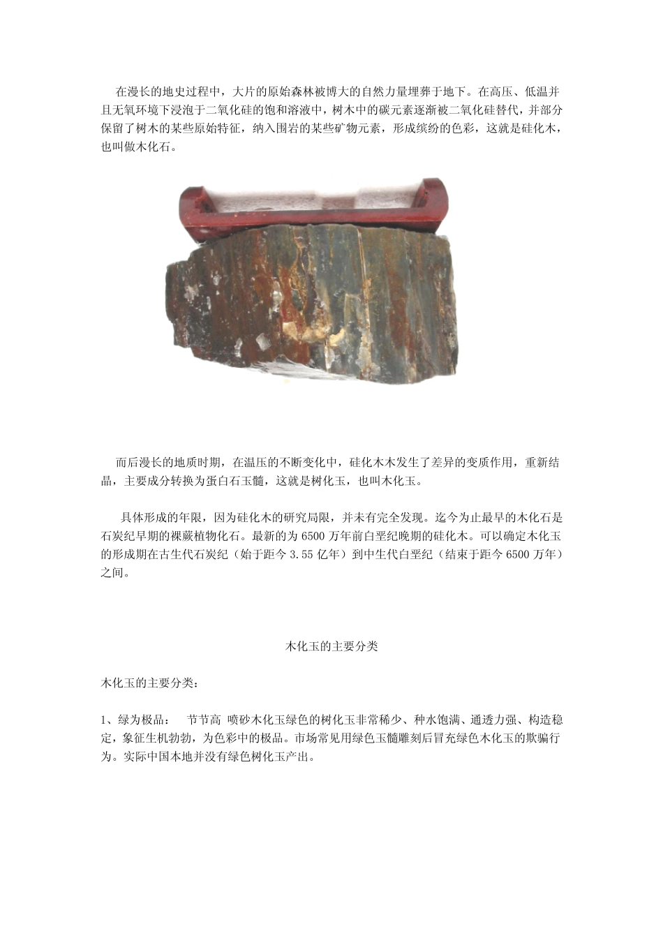 珠宝学堂：木化玉_第2页