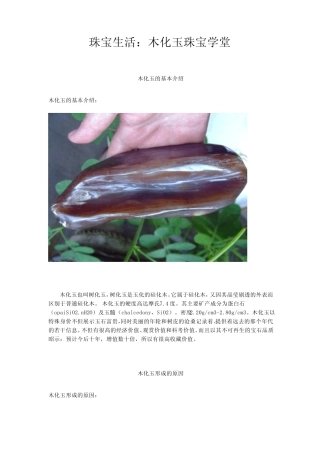 珠宝学堂：木化玉