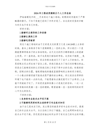 2024年工程试用期转正个人工作总结