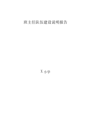 班主任队伍建设说明报告