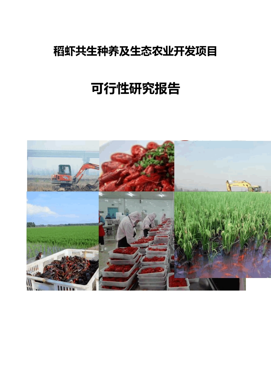 珺富稻虾共生种养及生态农业开发项目_第1页