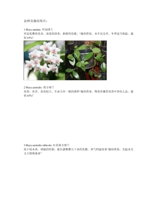 球兰品种及栽培简介