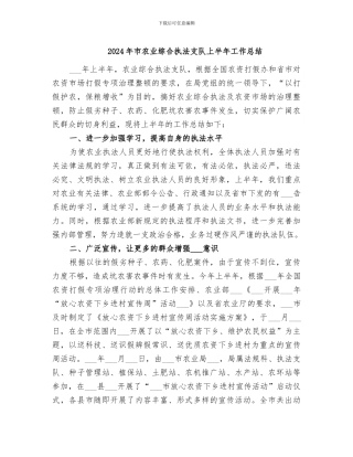 2024年市农业综合执法支队上半年工作总结