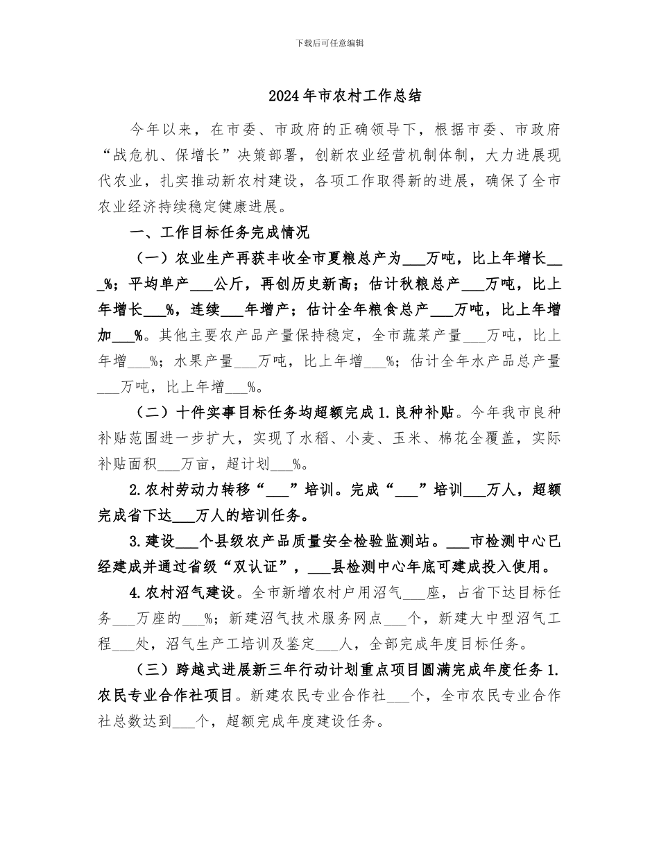 2024年市农村工作总结_第1页
