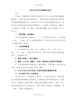 2024年市创卫控烟情况总结