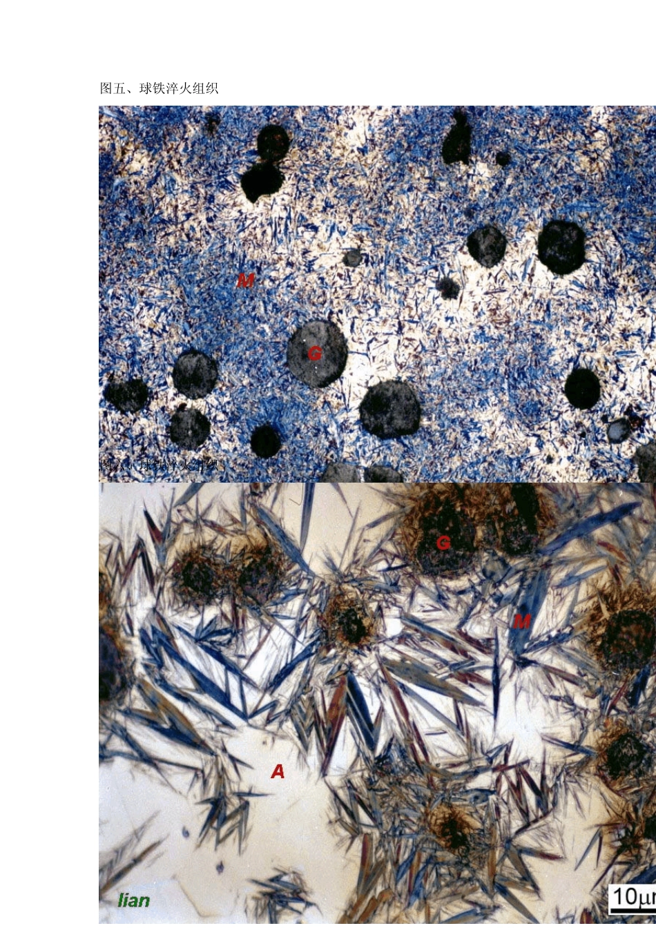 球铁金相组织_第3页