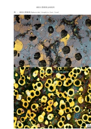 球铁金相组织