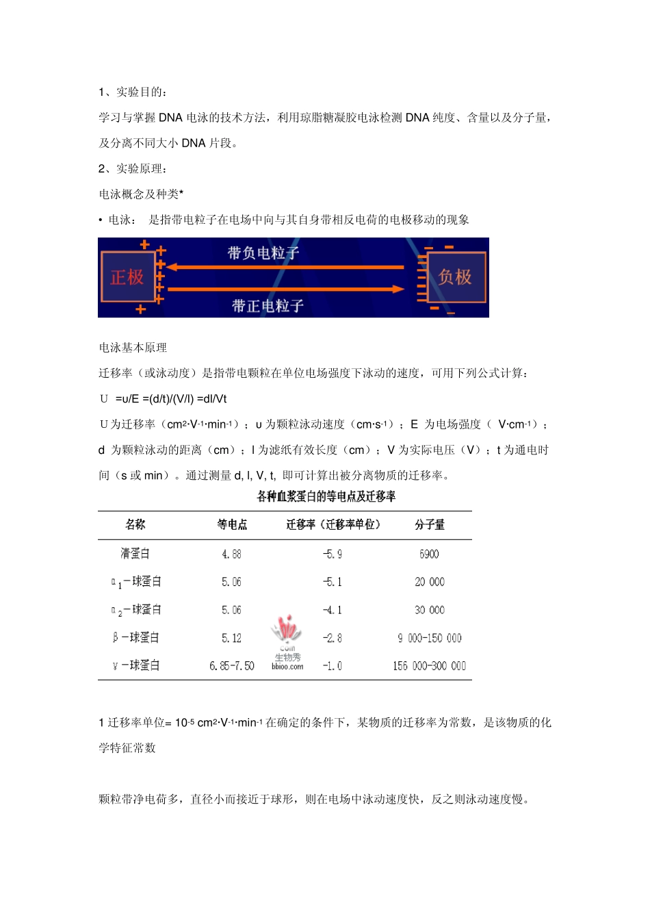琼脂糖凝胶电泳技术_第1页