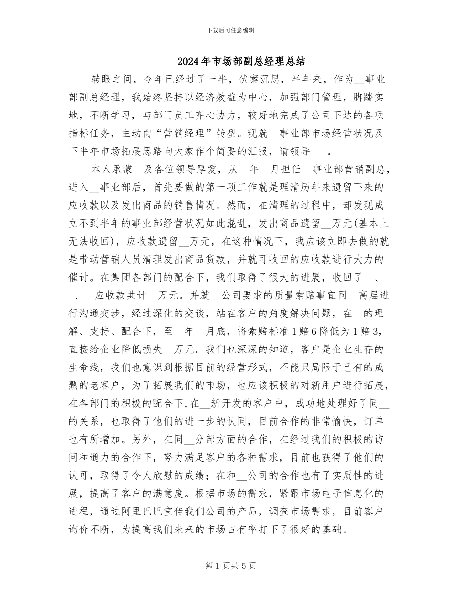 2024年市场部副总经理总结_第1页