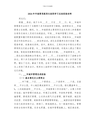 2024年市城管局副局长挂职学习总结经验材料