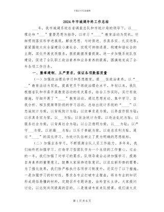 2024年市城调年终工作总结