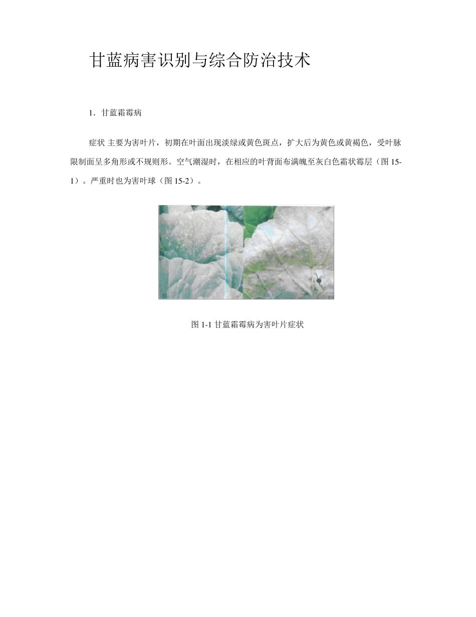 甘蓝病害及防治_第1页
