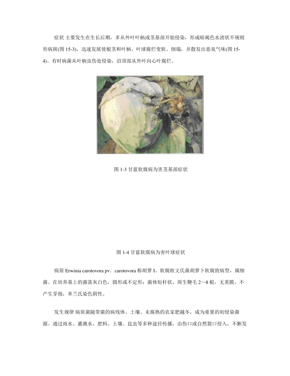 甘蓝病害及防治_第3页