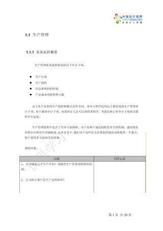 生产内部控制审计程序