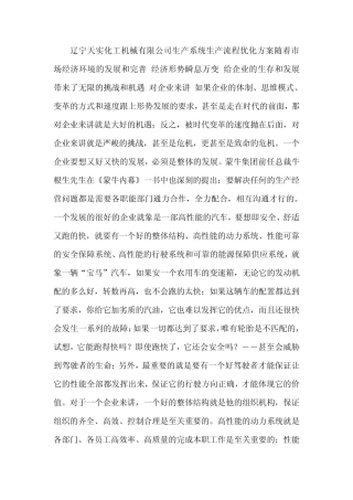 生产流程优化工作报告