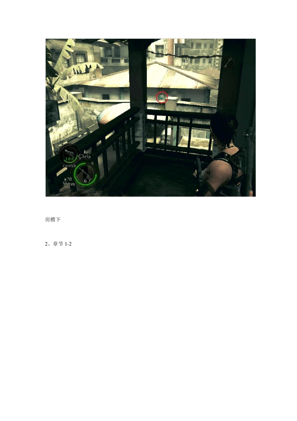 生化危机5全蓝牌全徽章收集(清晰图示标出具体位置)_第2页