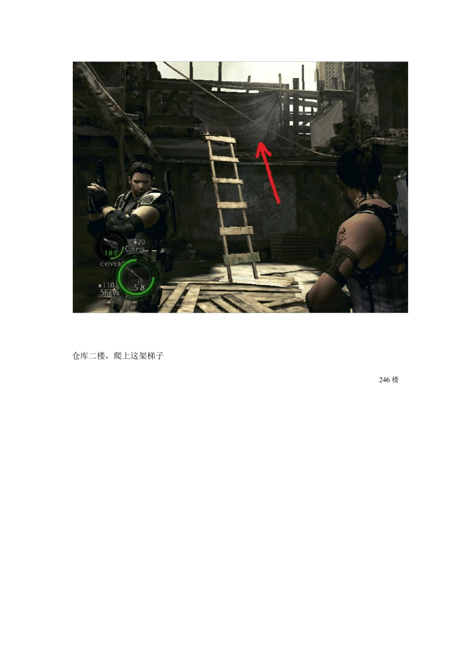 生化危机5全蓝牌全徽章收集(清晰图示标出具体位置)_第3页