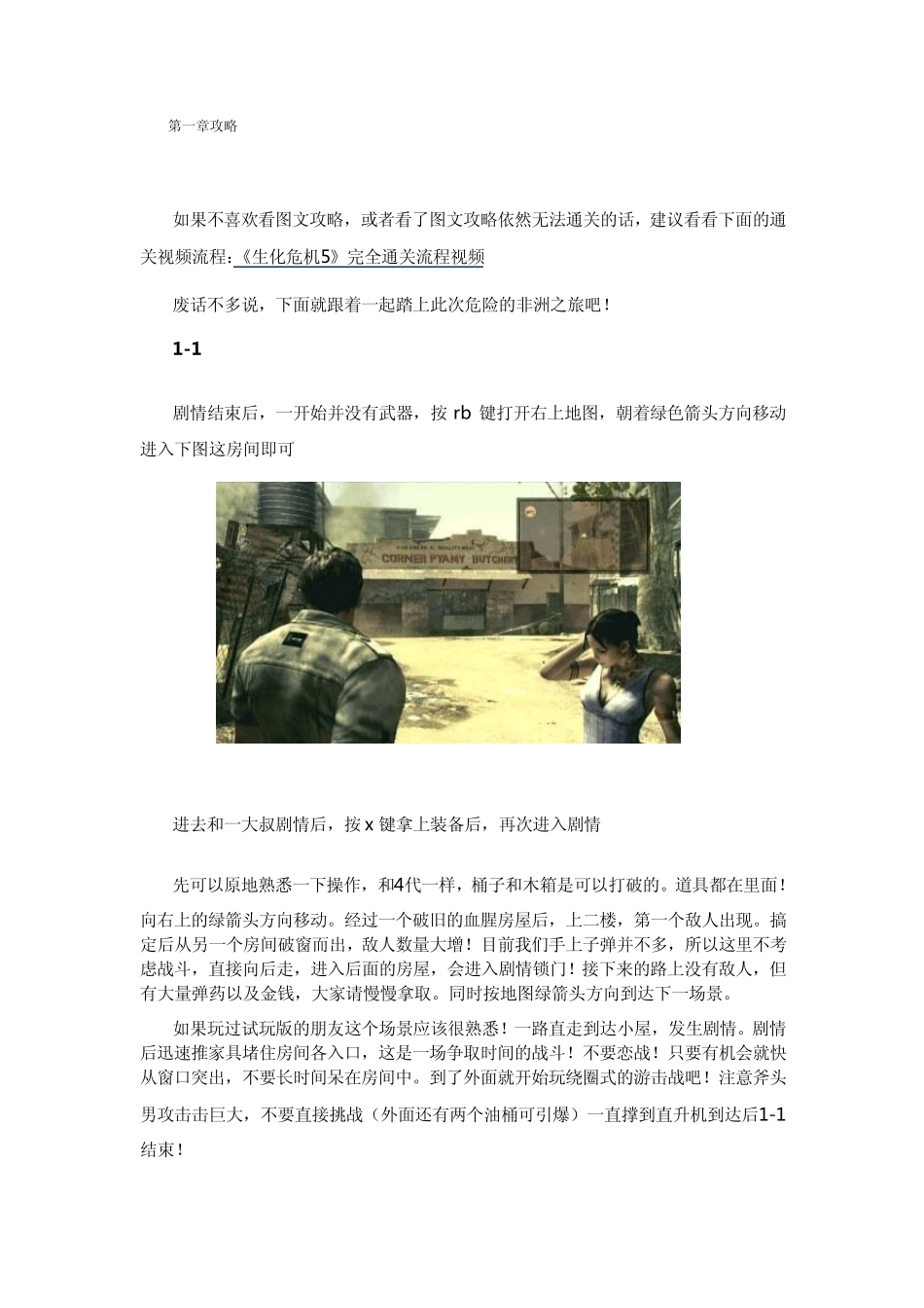 生化危机5图文攻略大全_第1页