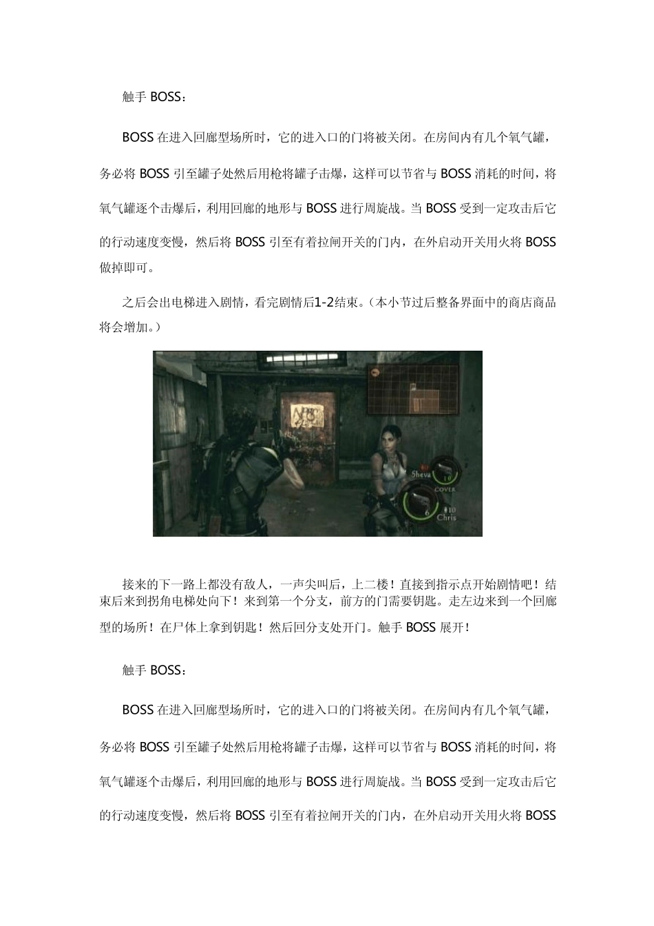 生化危机5图文攻略大全_第3页