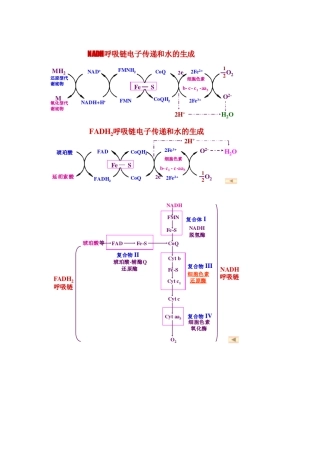 生化重要反应——循环图
