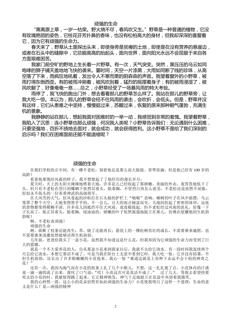 生命力顽强的作文30篇_第2页