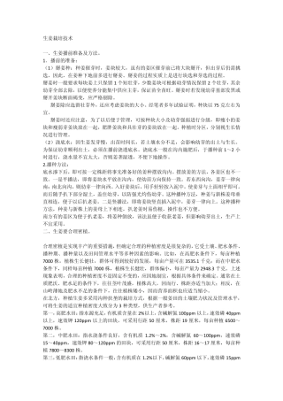 生姜栽培技术