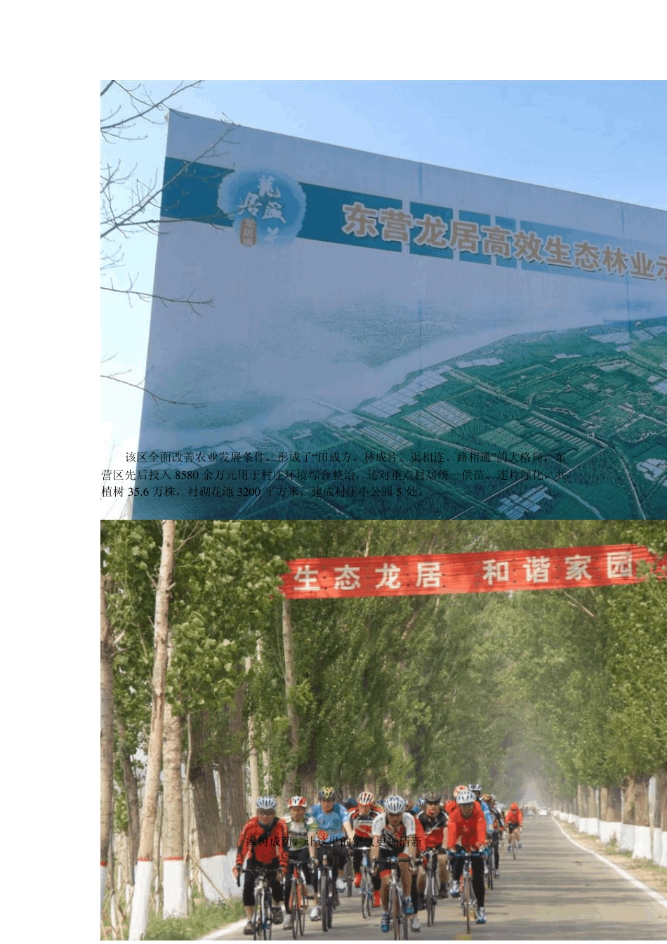 生态文明实践报告_第2页