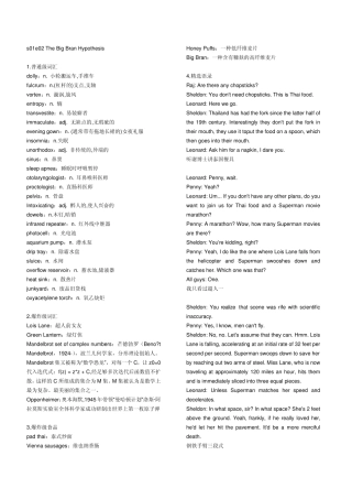 生活大爆炸第一季经典台词