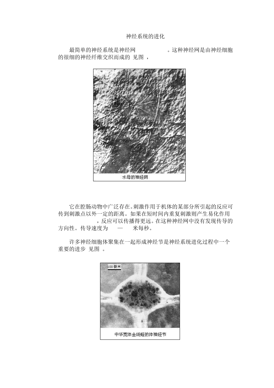 生物——神经系统的进化)_第1页