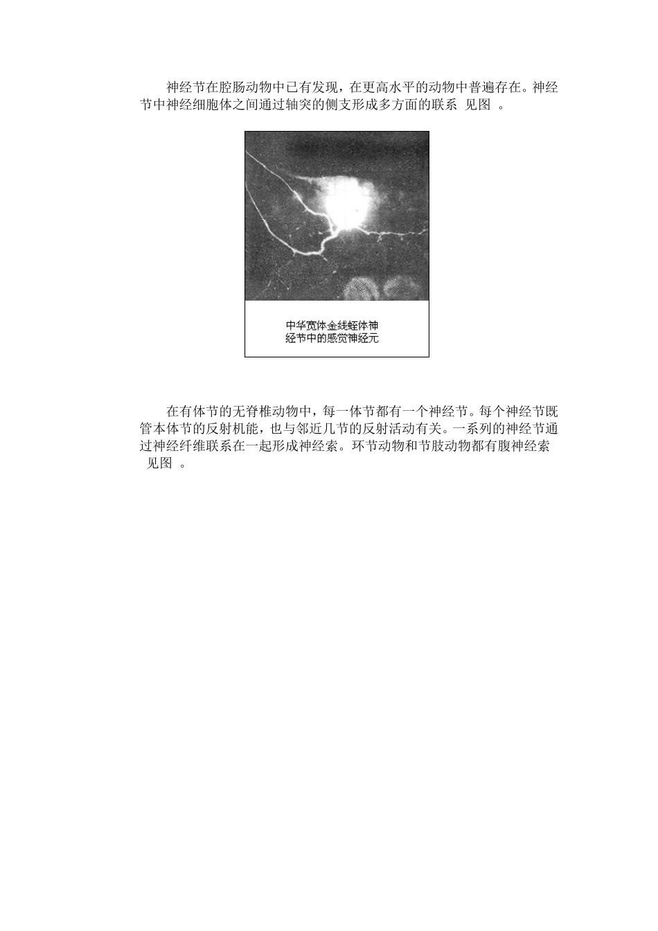 生物——神经系统的进化)_第2页