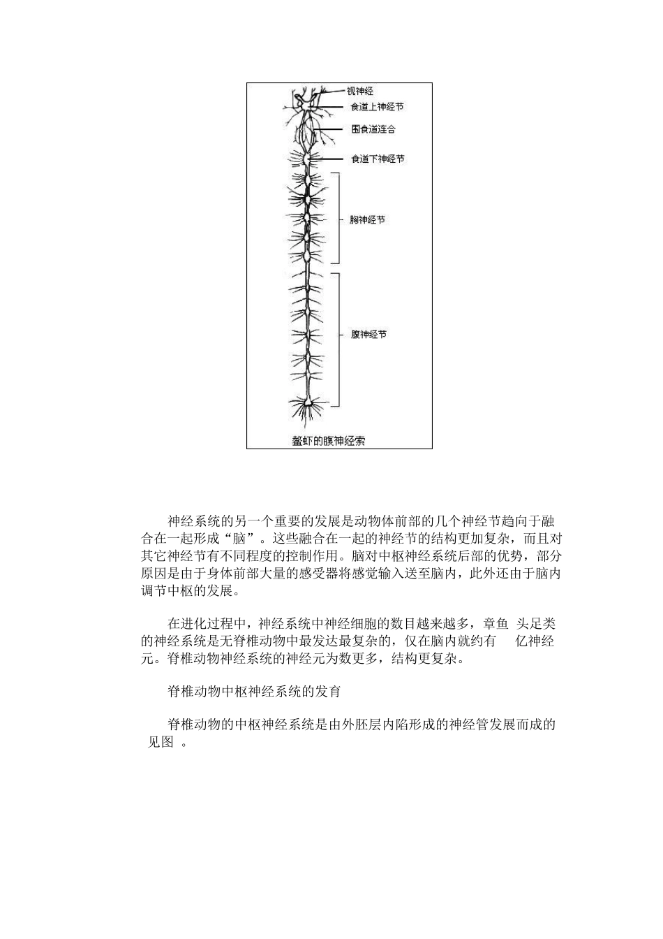 生物——神经系统的进化)_第3页