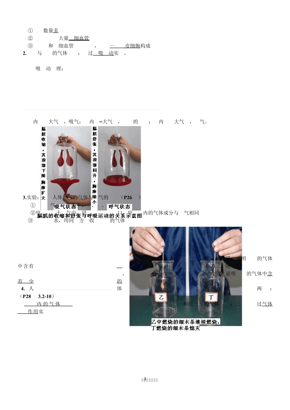 生物七下知识点总结_第3页