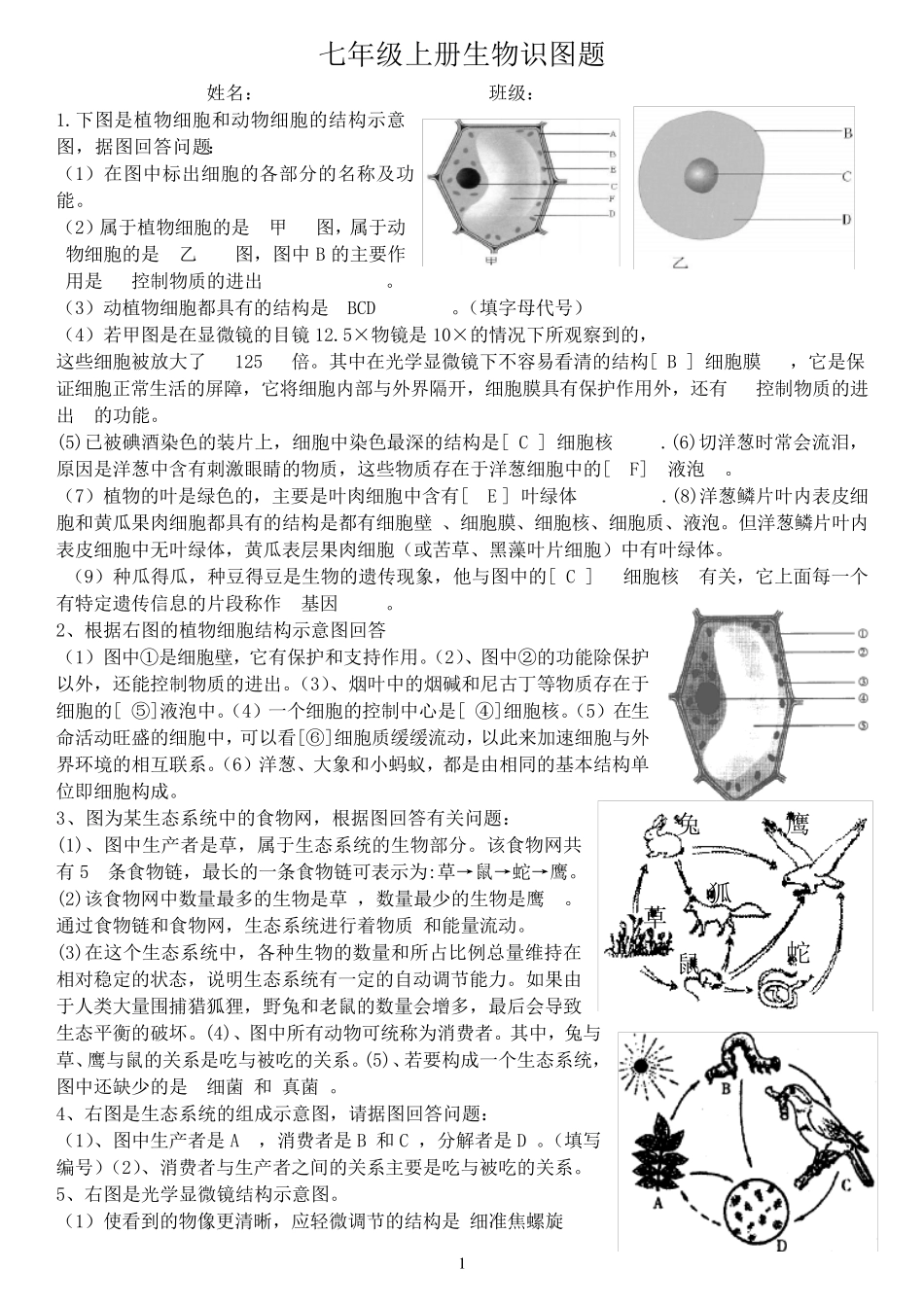 生物七年级生物上册识图题带答案_第1页