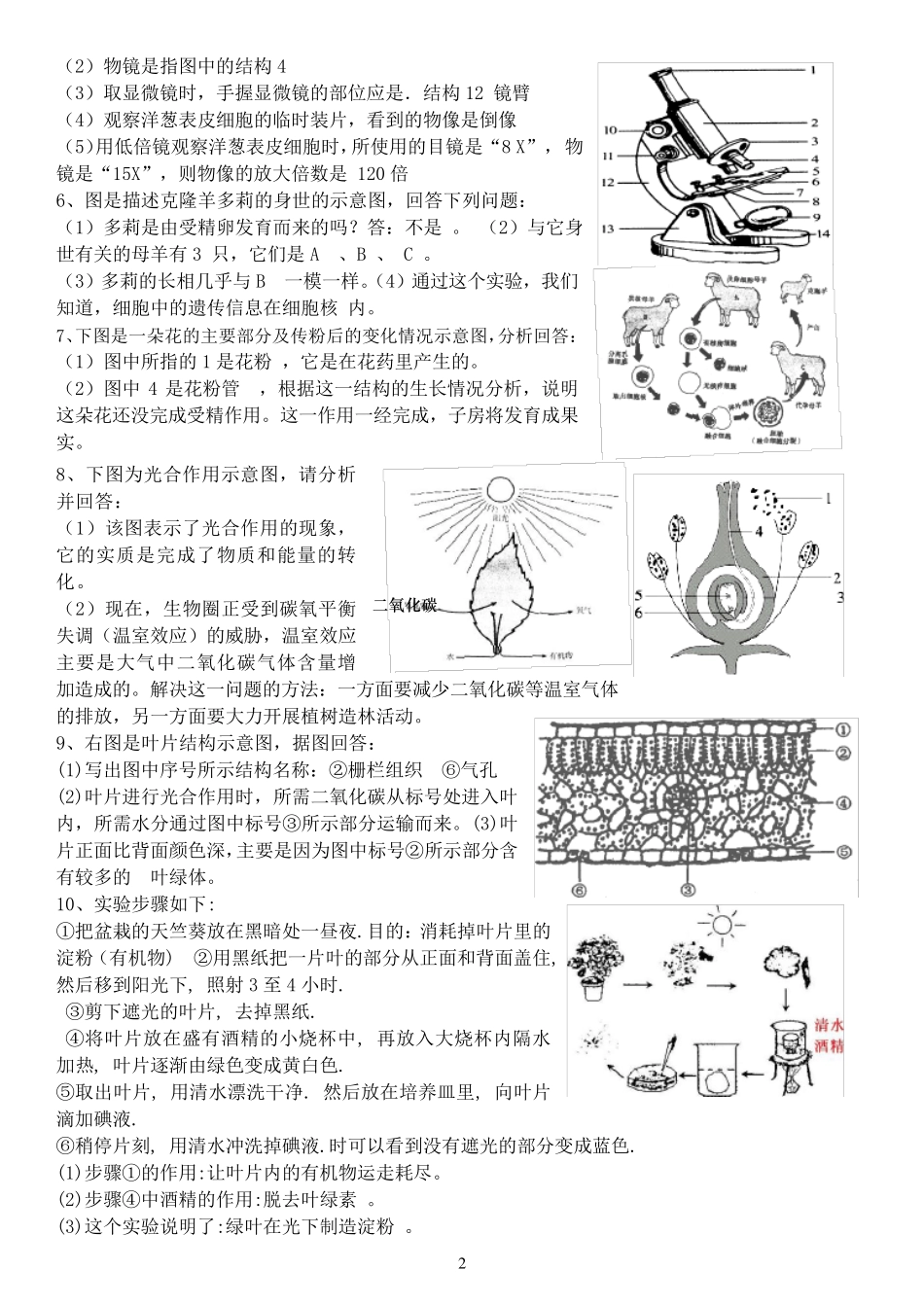 生物七年级生物上册识图题带答案_第2页