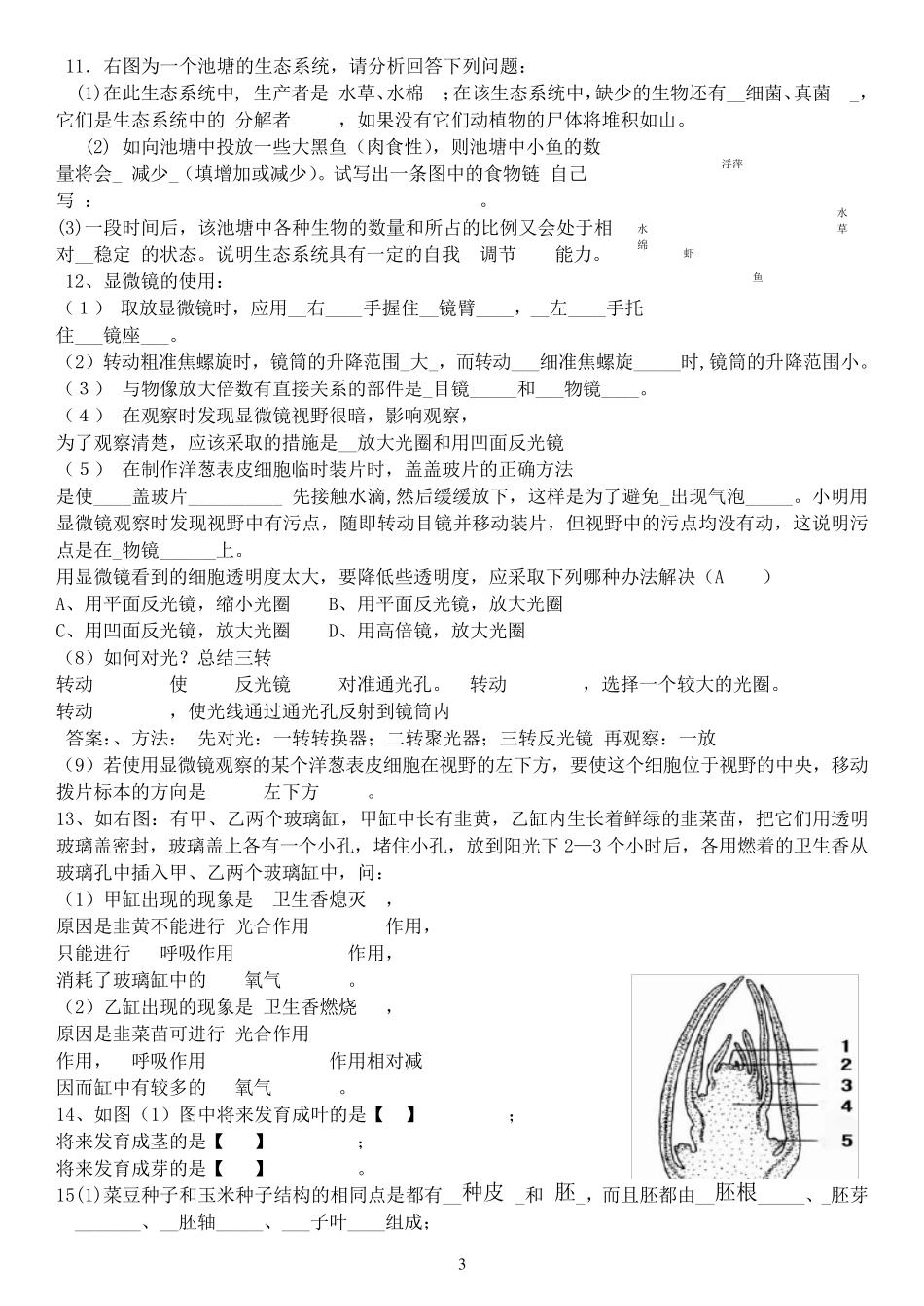生物七年级生物上册识图题带答案_第3页