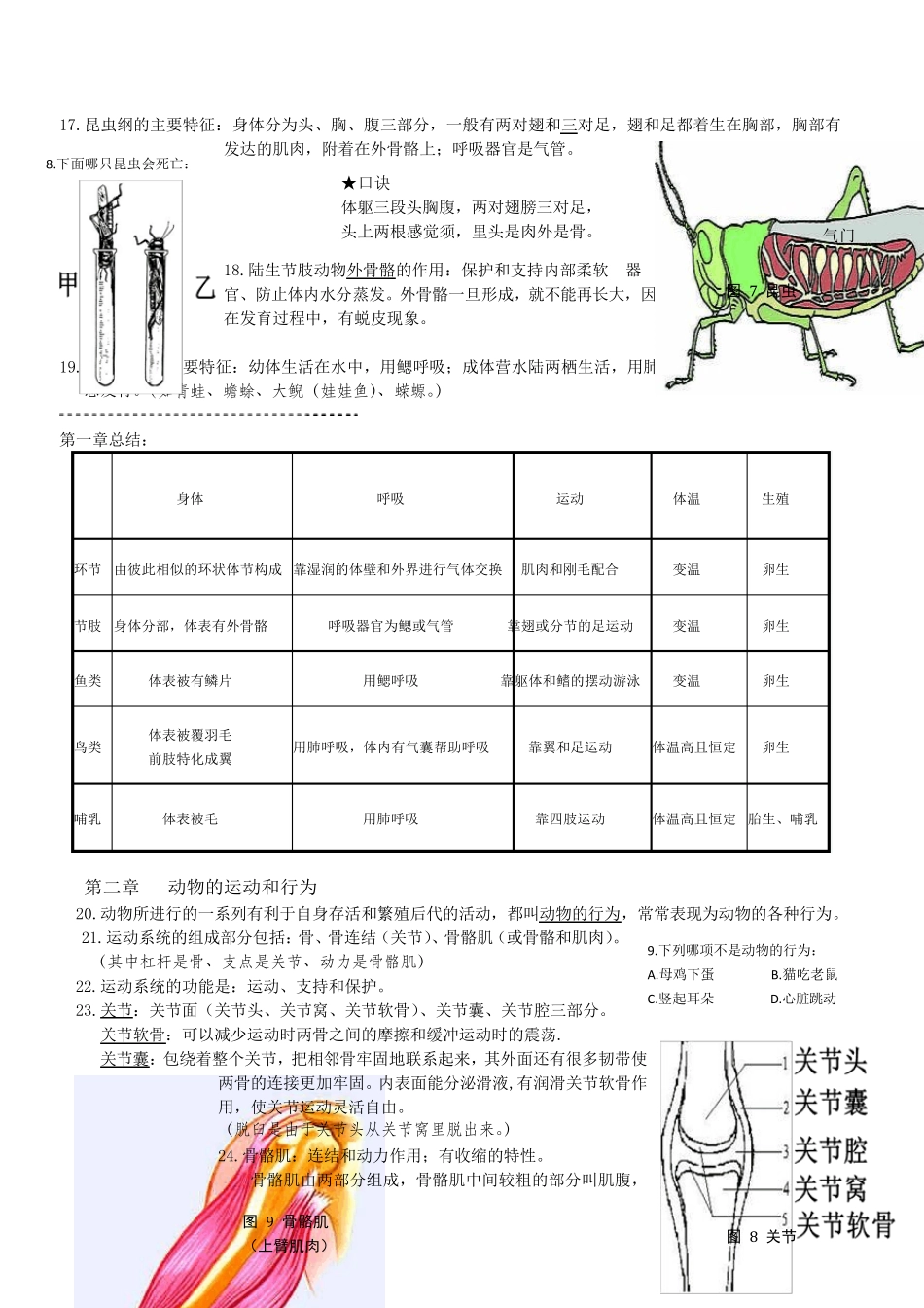 生物中考一轮复习资料(八上)_第3页