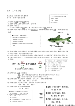 生物中考一轮复习资料(八上)