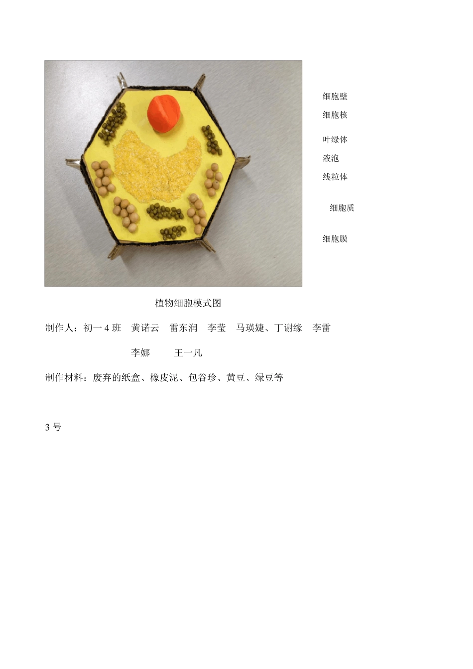 生物兴趣小组活动内容_第3页