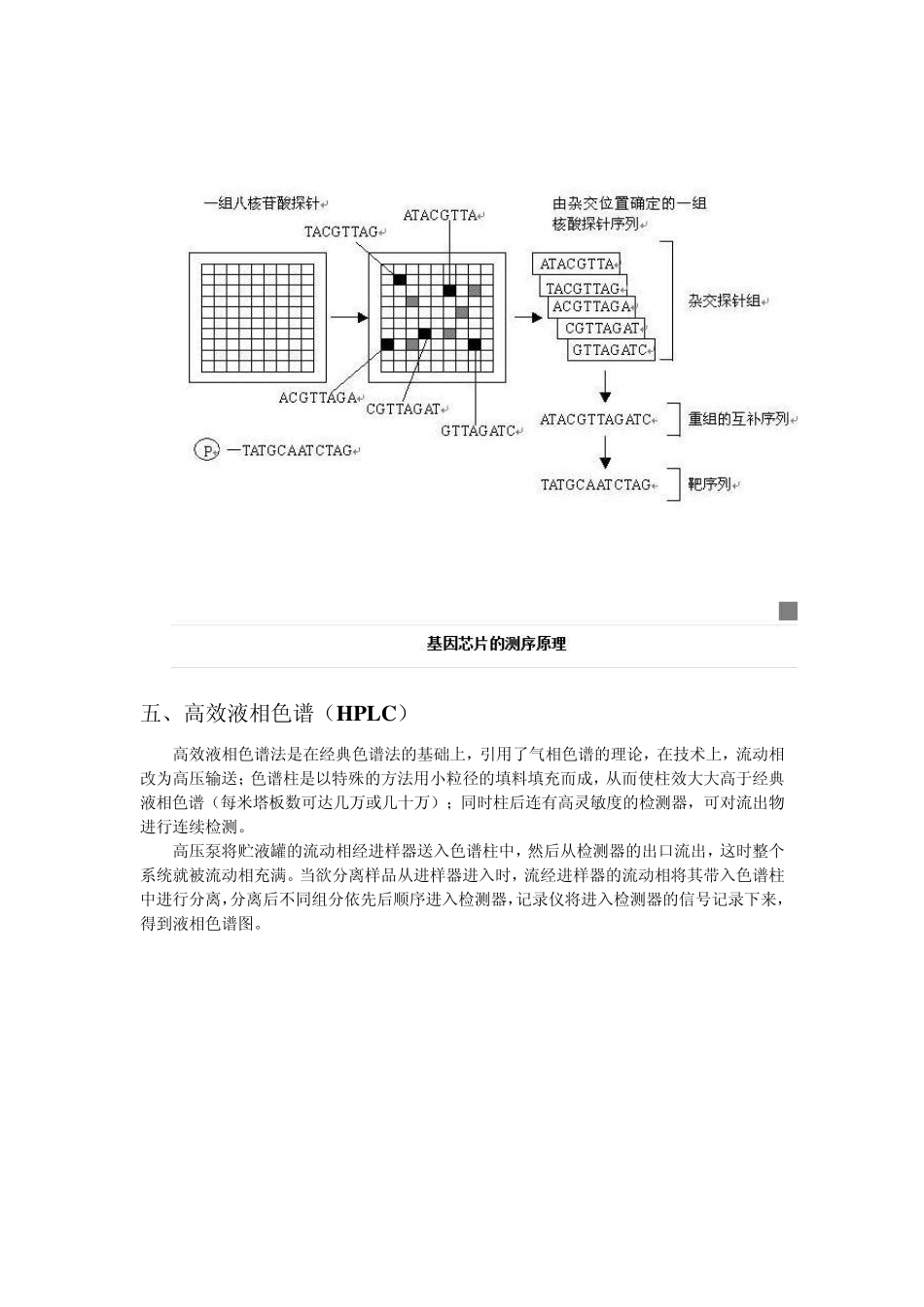 生物分子类实验室常用实验技术原理汇总_第3页