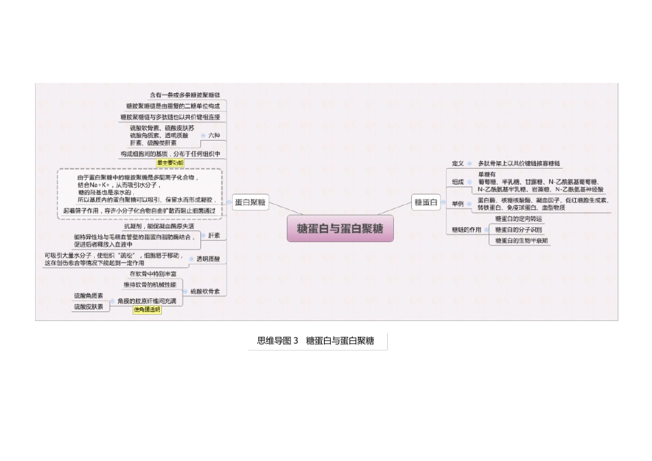 生物化学思维导图大学生物化学思维导图_第3页