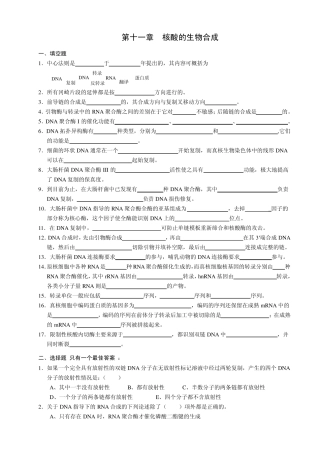 生物化学第11章核酸的生物合成