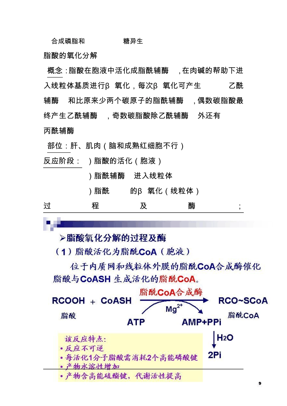 生物化学脂类代谢_第2页