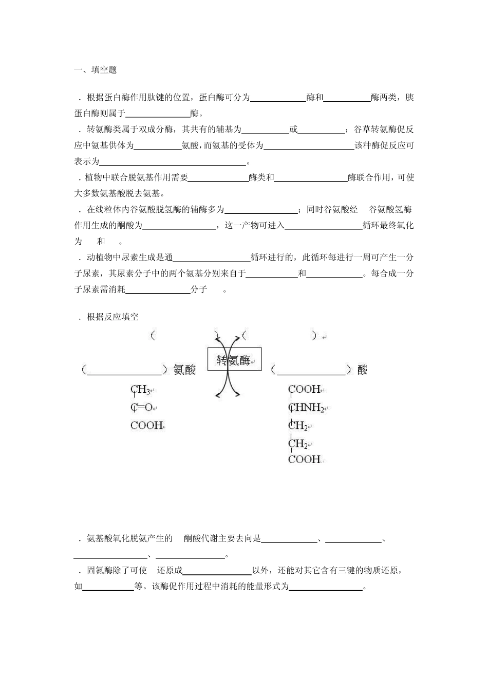 生物化学蛋白质的降解和氨基酸的代谢_第1页
